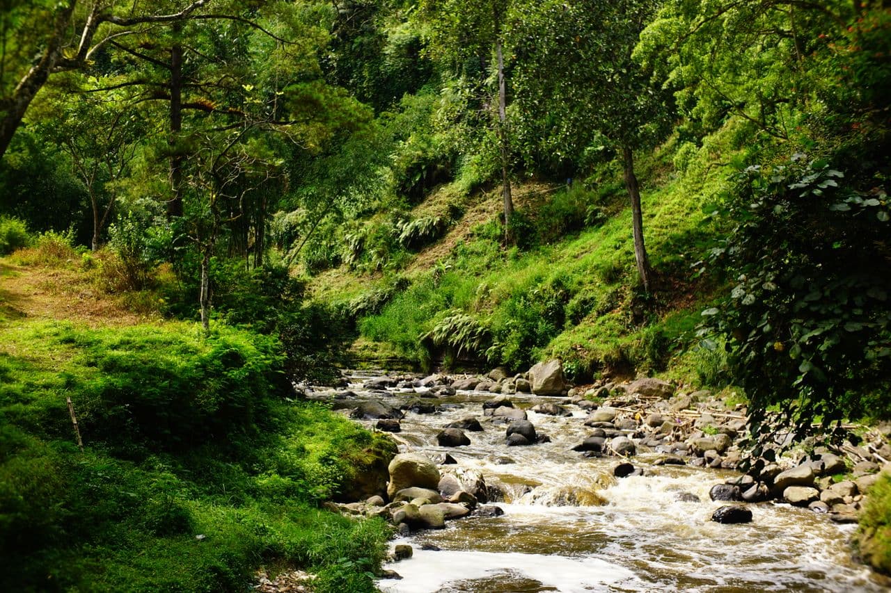 Parque Nacional Lore Lindu