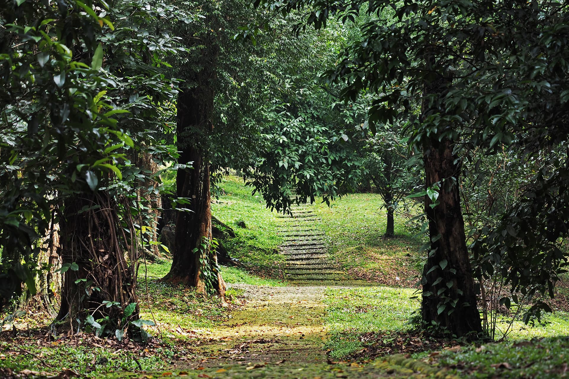 Jardín Botánico de Bali