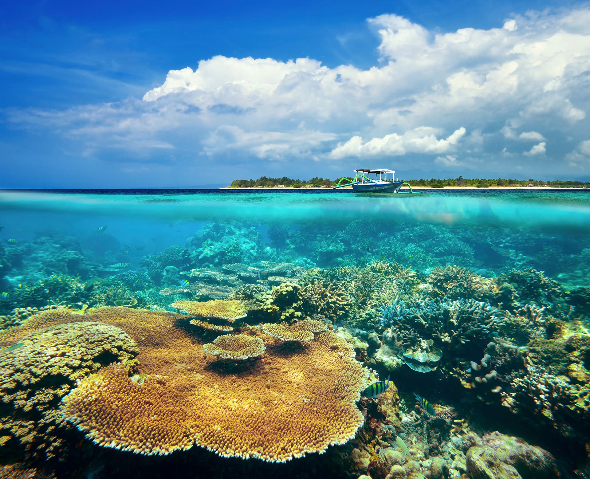 Buceo y esnórquel